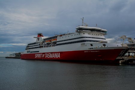 Cruise Ship photo
