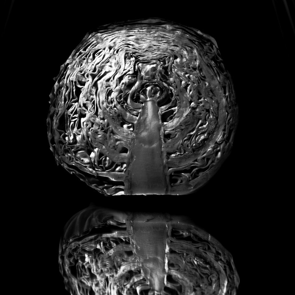 Cabbage with high contrast 000614-4b