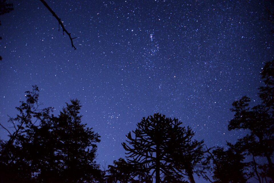 Light night constellations