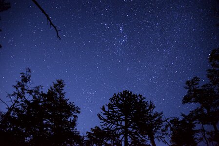 Light night constellations photo