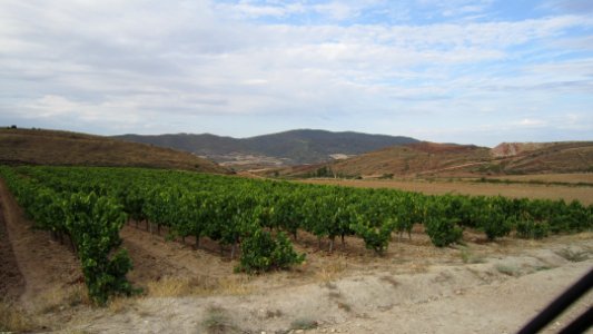 Chemin de compostelle