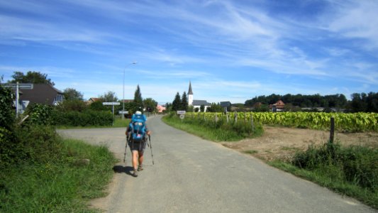 Chemin de compostelle