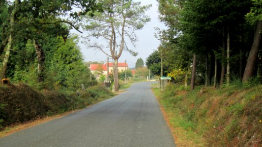 chemi de compostelle