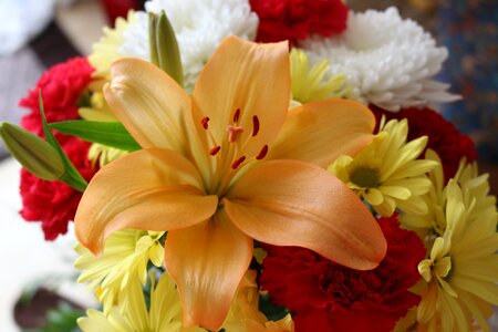 Bouquet carnation floral photo