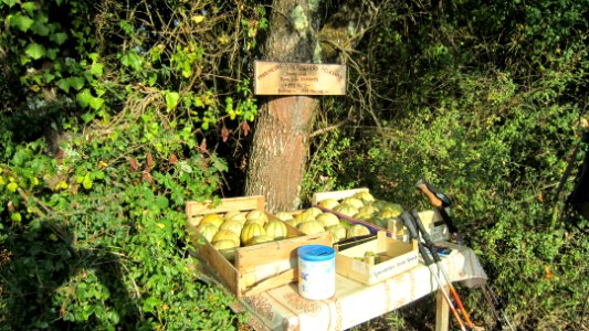 Chemin de compostelle