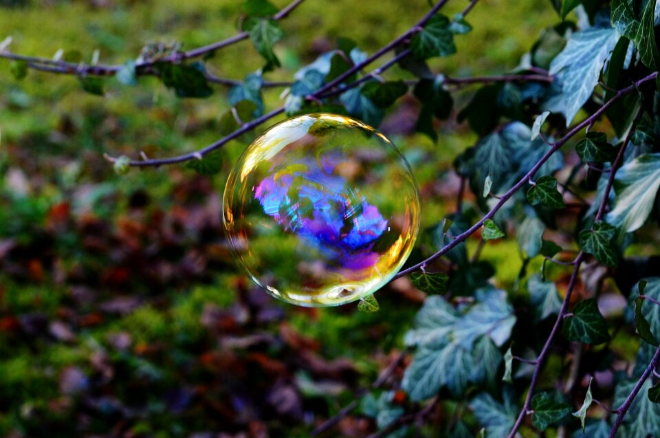 Soapy water make soap bubbles float photo