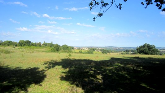 Chemin de compostelle