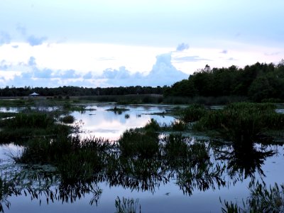 Green Cay At Dusk