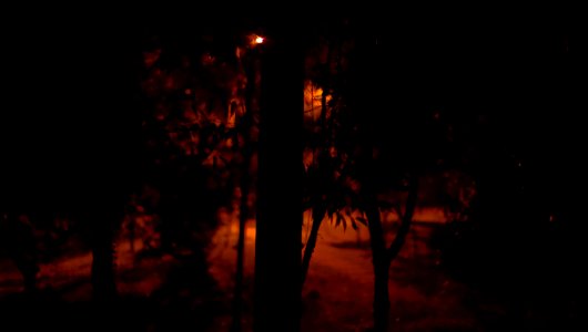 The Light Shines in the Darkness