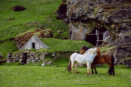 Abandoned building hut photo