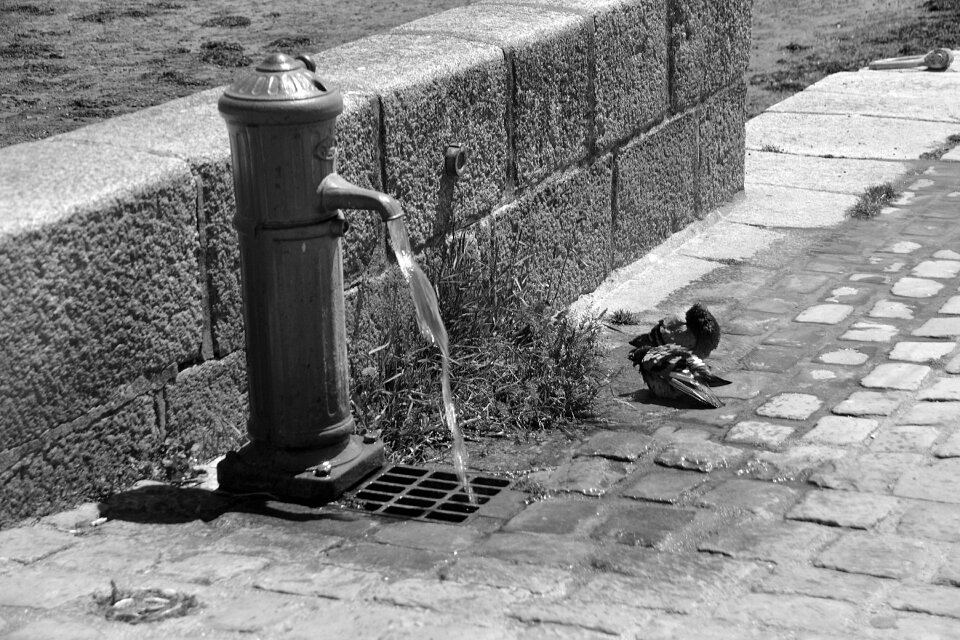 City urban setting refreshment