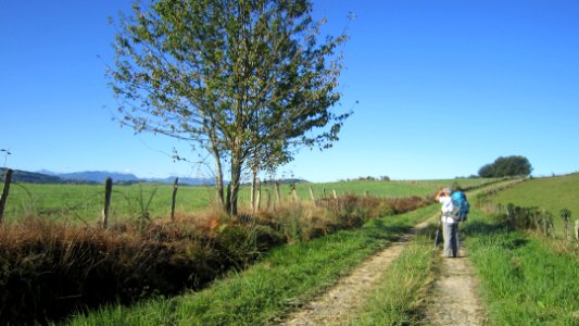Chemin de compostelle