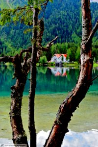 DAM1982 - Lago di Anterselva