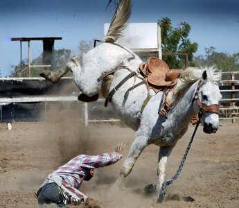 Action shot cowboy cowboy background photo