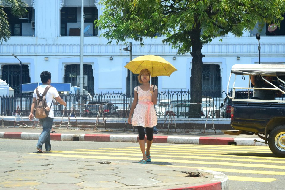 DSC 0502