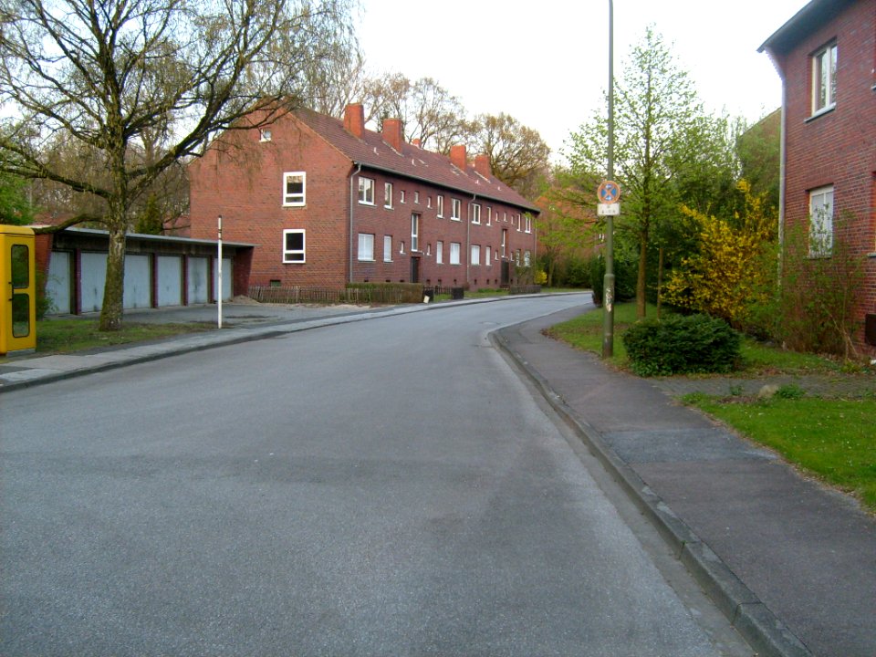 Blick in die Schlenke 2