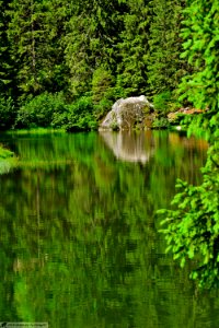 DAM2107 - Lago dei caprioli