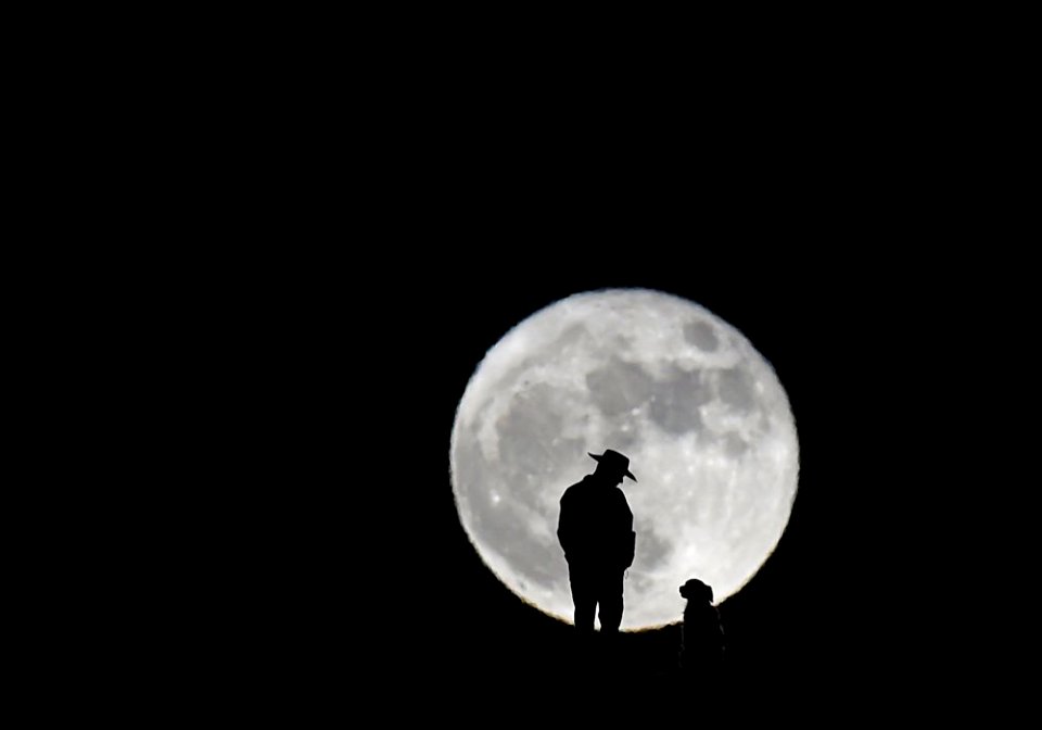 The Moon and man's best friend