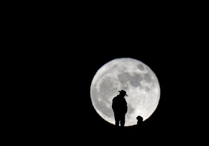 The Moon and man's best friend photo