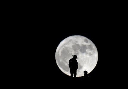 The Moon and man's best friend
