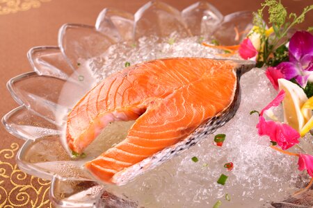 Salmon food gourmet