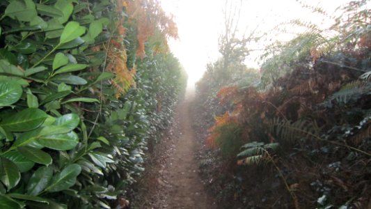 Chemin de Compostelle