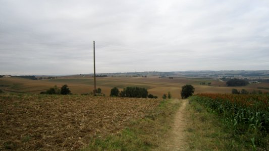 Chemin de compostelle