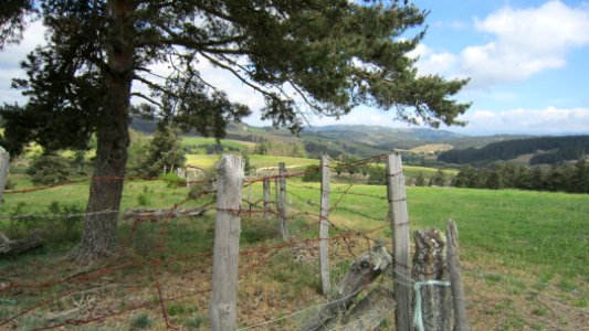 Chemin de compostelle
