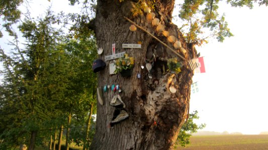 Chemin de compostelle