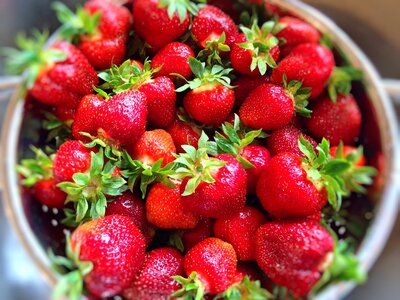 Fresh healthy red