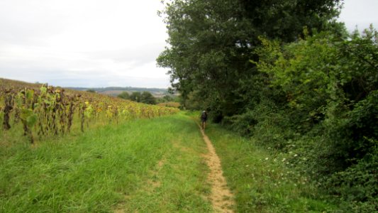 Chemin de compostelle