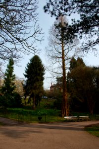 DSC 0996