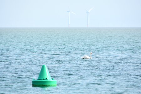 dsc 1335 37555137655 o