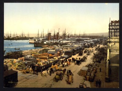 Quay de la Joliette, Marseilles, France
