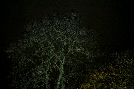 dsc 1661-2 24767813448 o