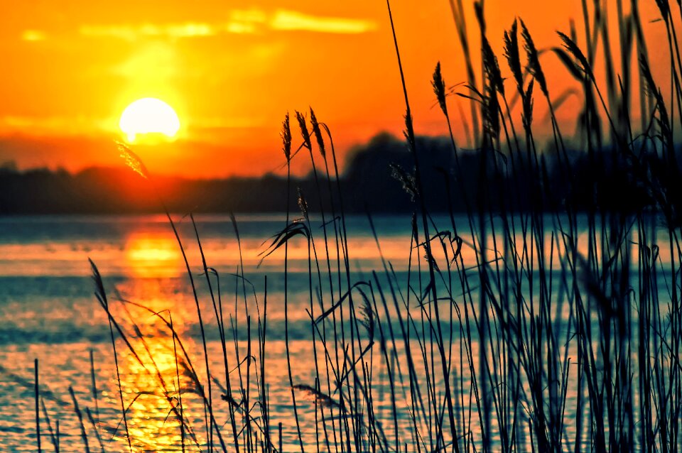 Landscape nature scenery