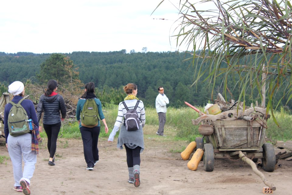 Caminhada na Natureza