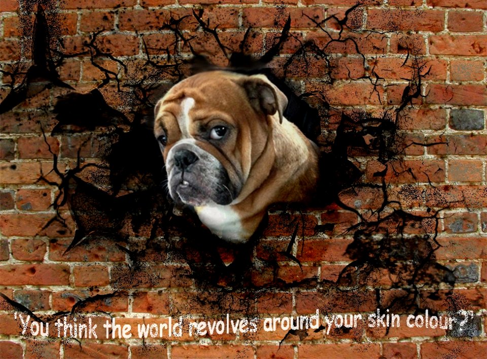 You think the world revolves around skin colour?