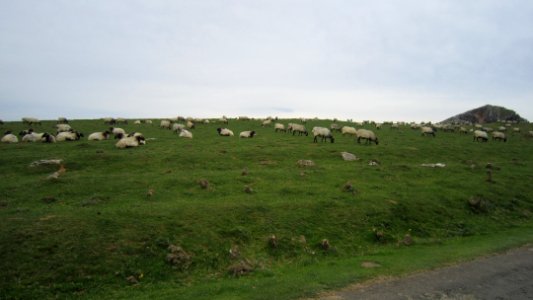 Chemin de compostelle photo