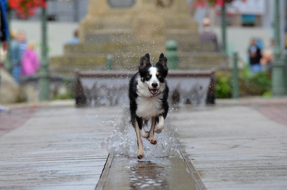 Historic center water fountain