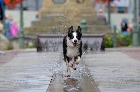 Historic center water fountain