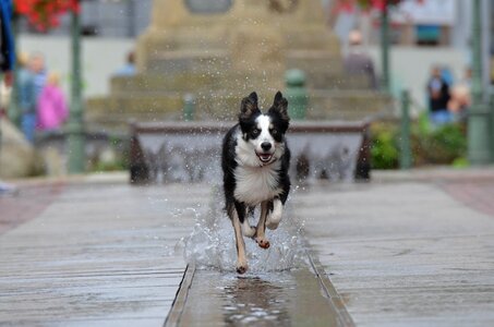 Historic center water fountain photo