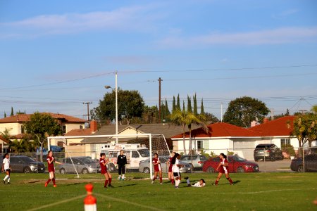 IMG 0506