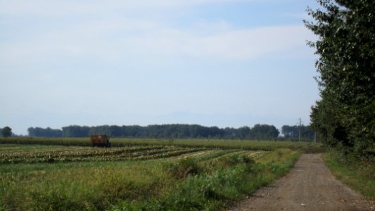 Chemin de compostelle