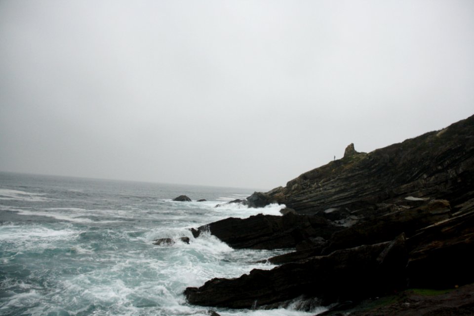 IMG 7987