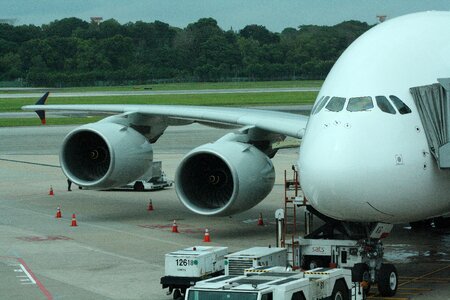 Aircraft singapore airlines a380 photo