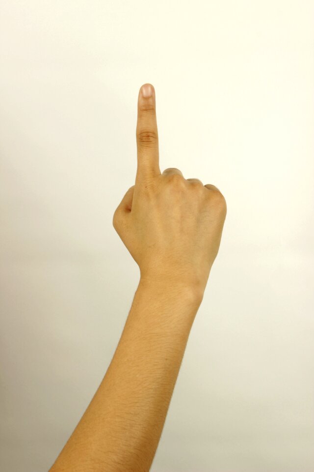 Hand finger the gesture