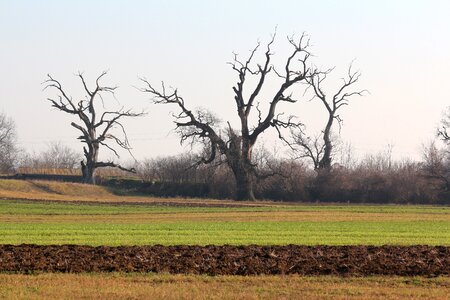 Landscape sky nature