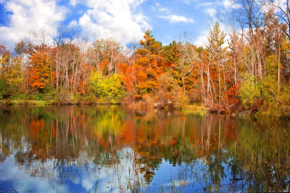 Fall leaves background autumn leaves october