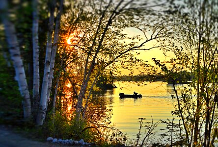 Lake trees sunset photo